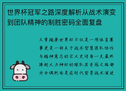世界杯冠军之路深度解析从战术演变到团队精神的制胜密码全面复盘